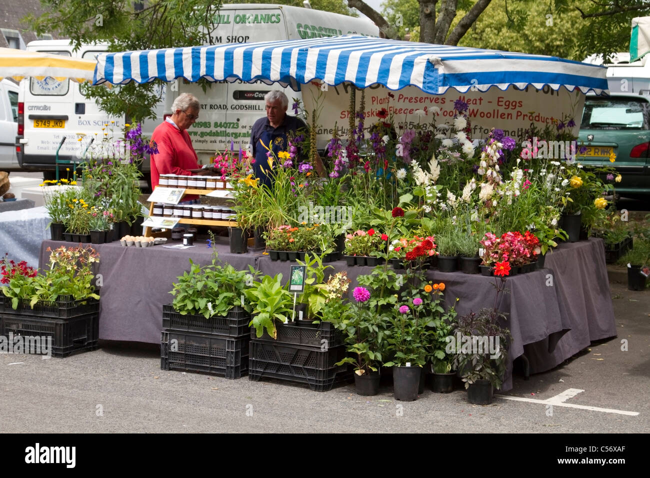 Flower stall at Winchester Farmer's Market, Hampshire Stock Photo Alamy