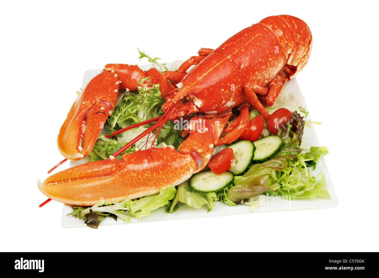 Whole cooked lobster on a bed of green salad Stock Photo