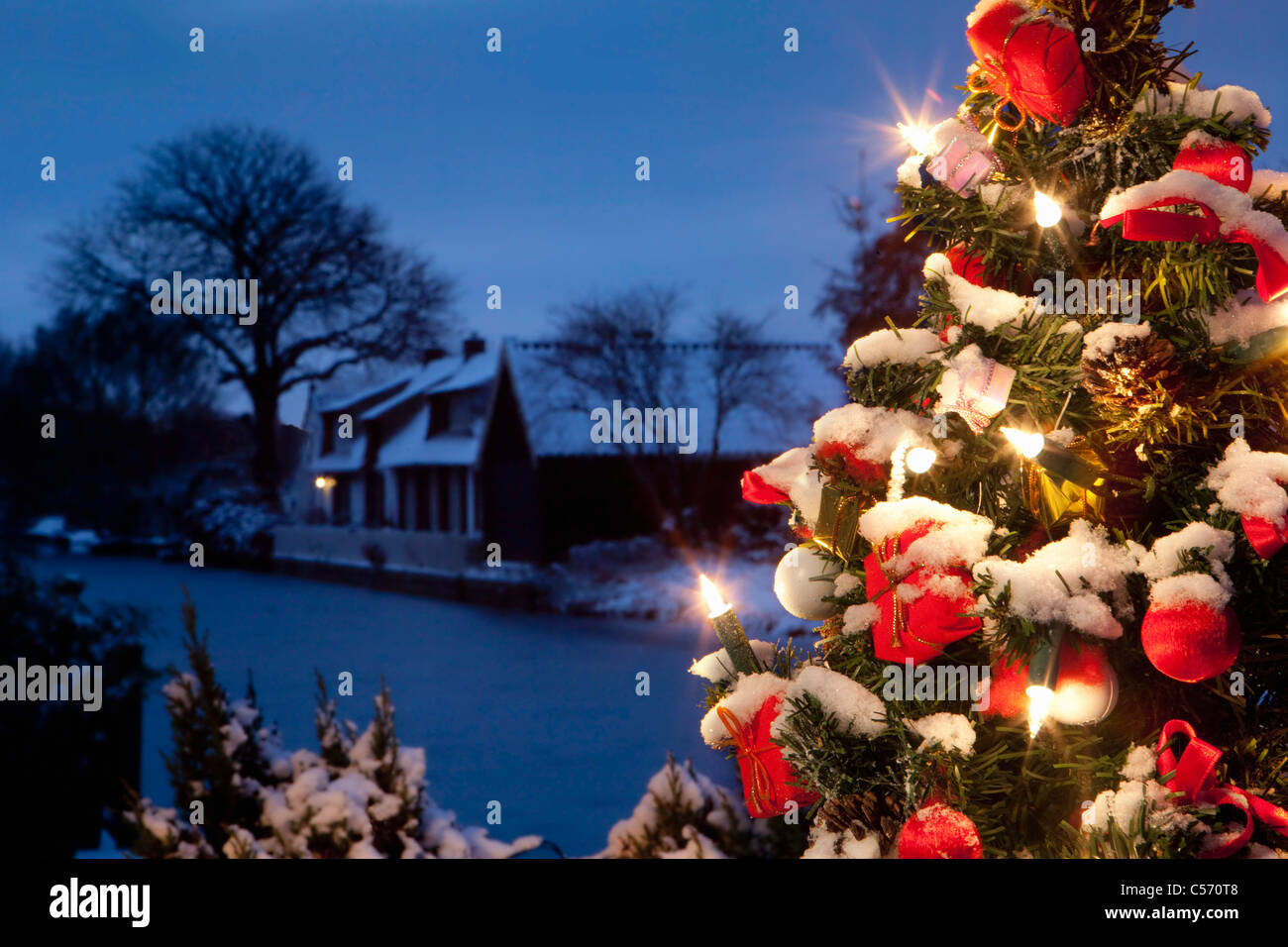 The Netherlands, 's-Graveland, Christmas trees with lights in snow. Dusk. Stock Photo