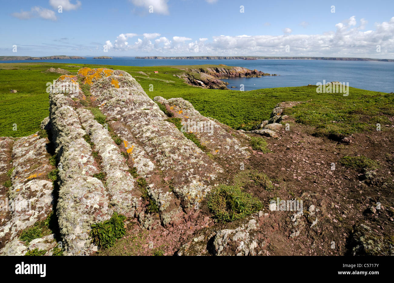 A landscape view of Skokholm island from the top of Spy Rock Stock Photo