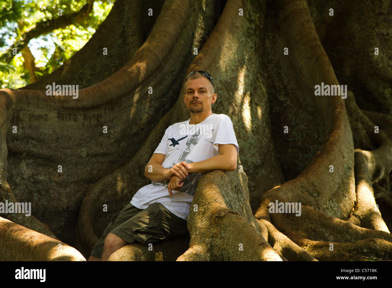 Island tree roots hi-res stock photography and images - Alamy