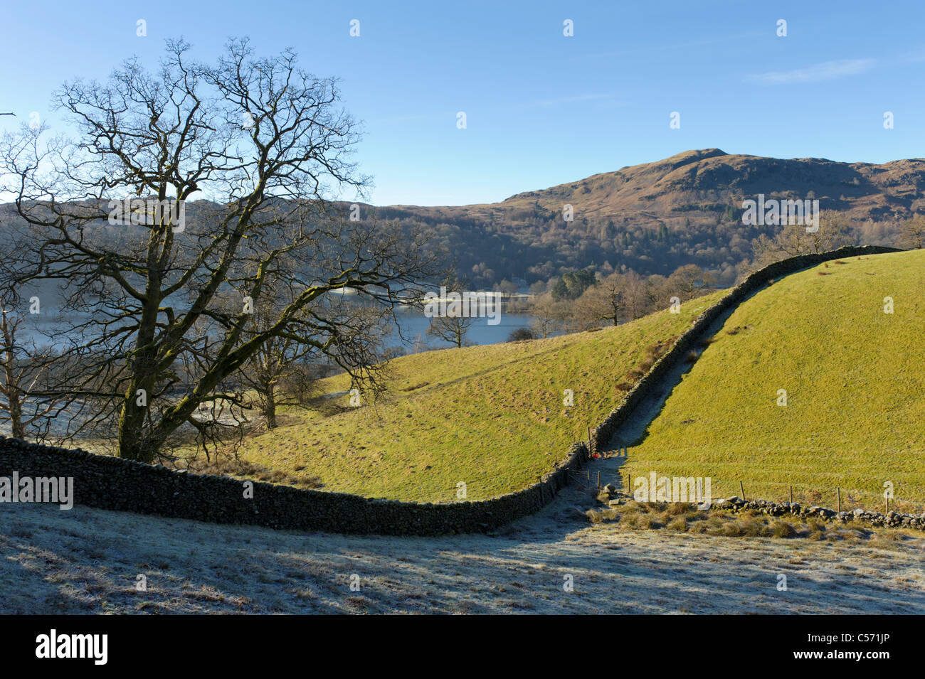 Frost in the shadow of a drystone wall near Grasmere with Silver How in background, Lake District, Cumbria Stock Photo
