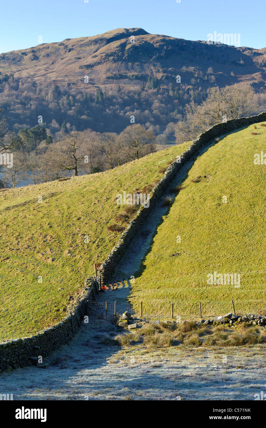 Frost in the shadow of a drystone wall near Grasmere with Silver How in background, Lake District, Cumbria Stock Photo