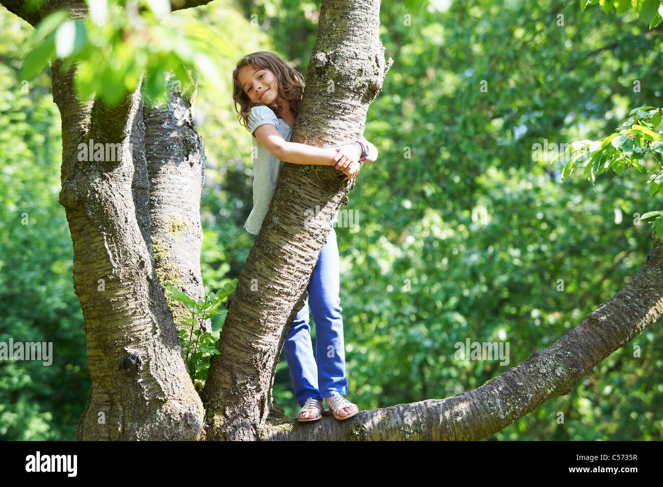 Smiling girl climbing tree outdoors Stock Photo