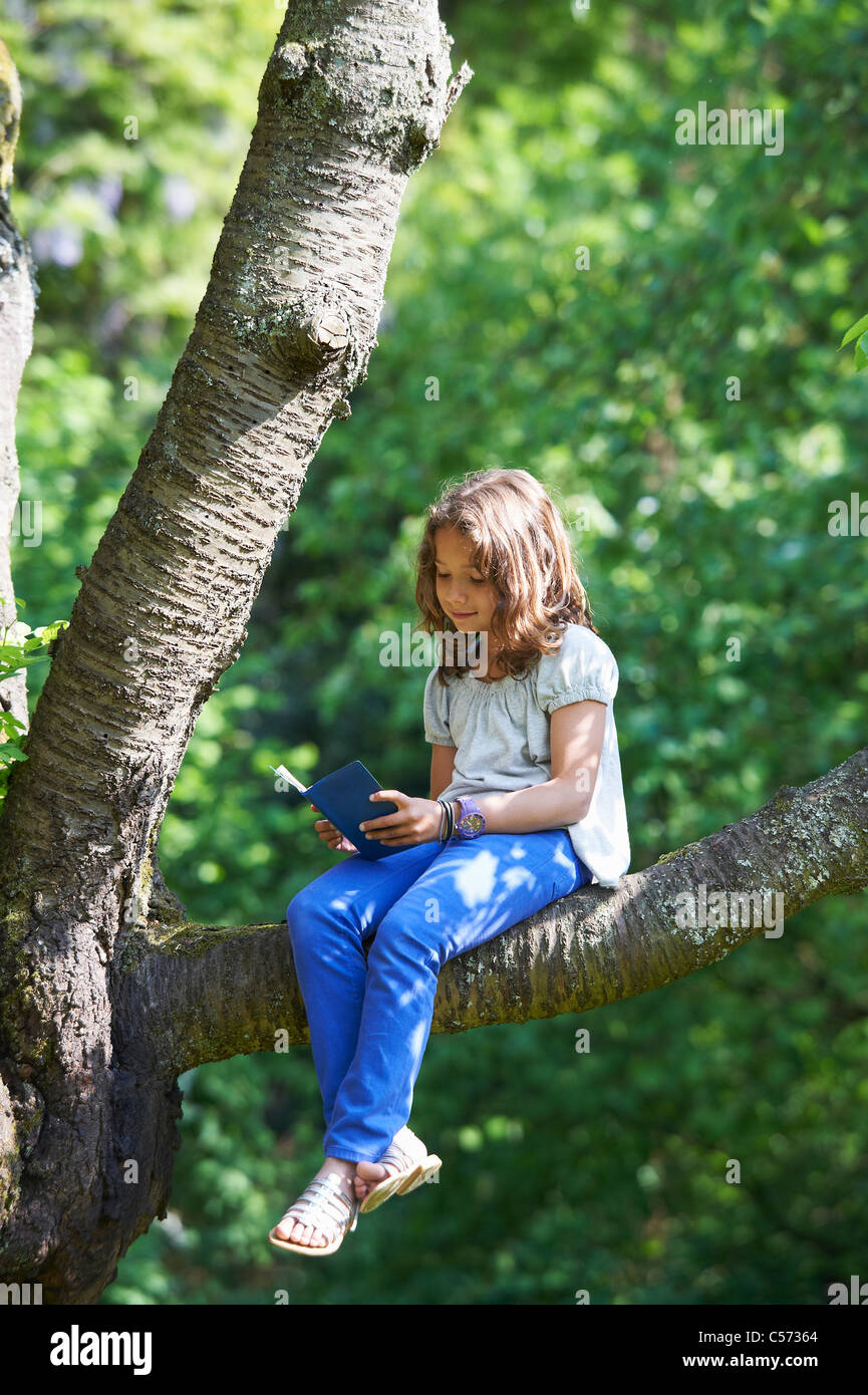 Girl reading in tree outdoors Stock Photo