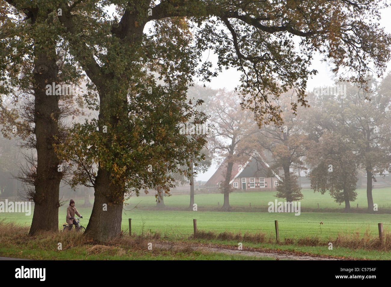 The Netherlands, Ootmarsum. Woman cycling, farm. Autumn colours. Stock Photo