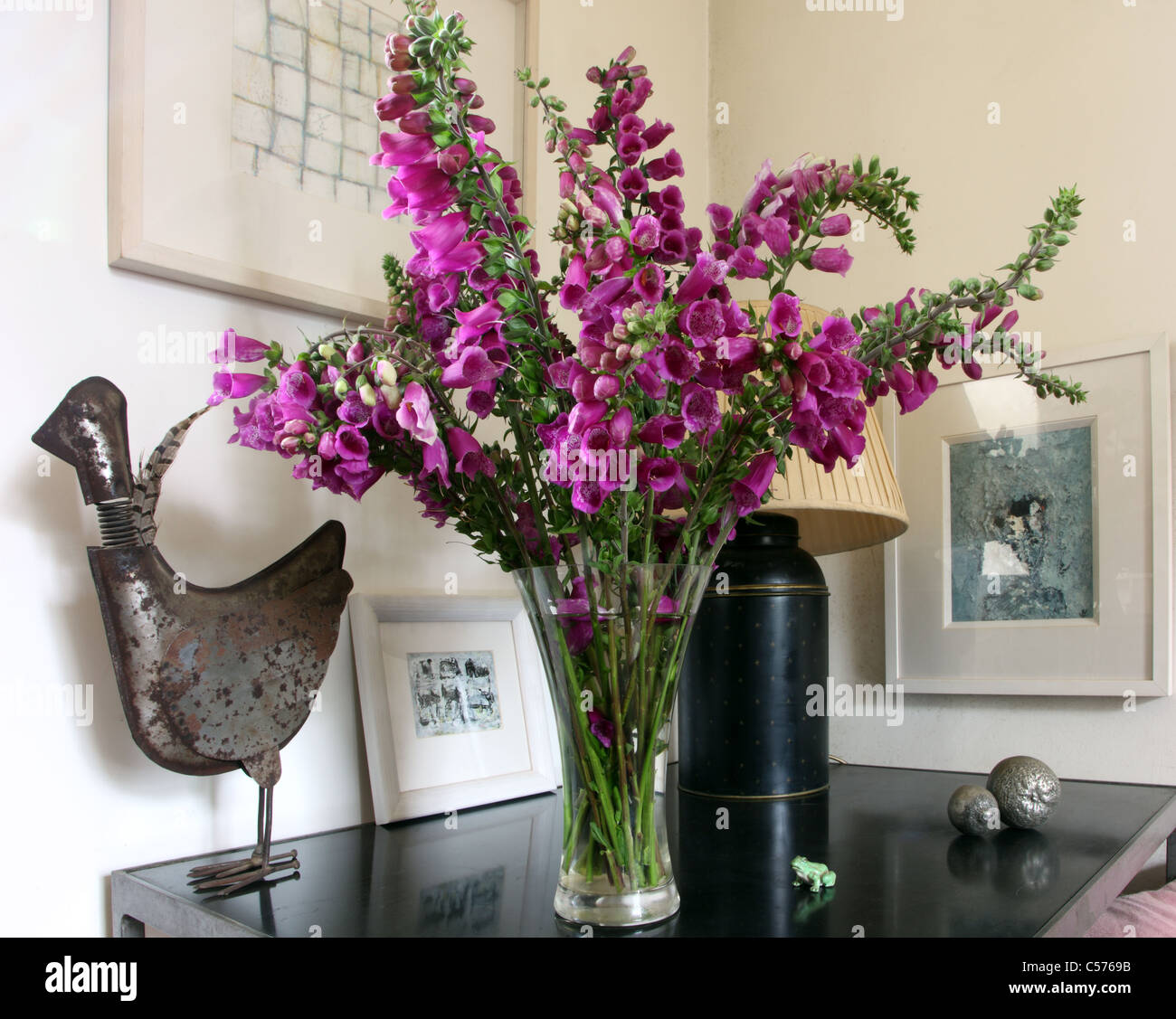 wild foxgloves as cut flowers in an Irish cottage Stock Photo