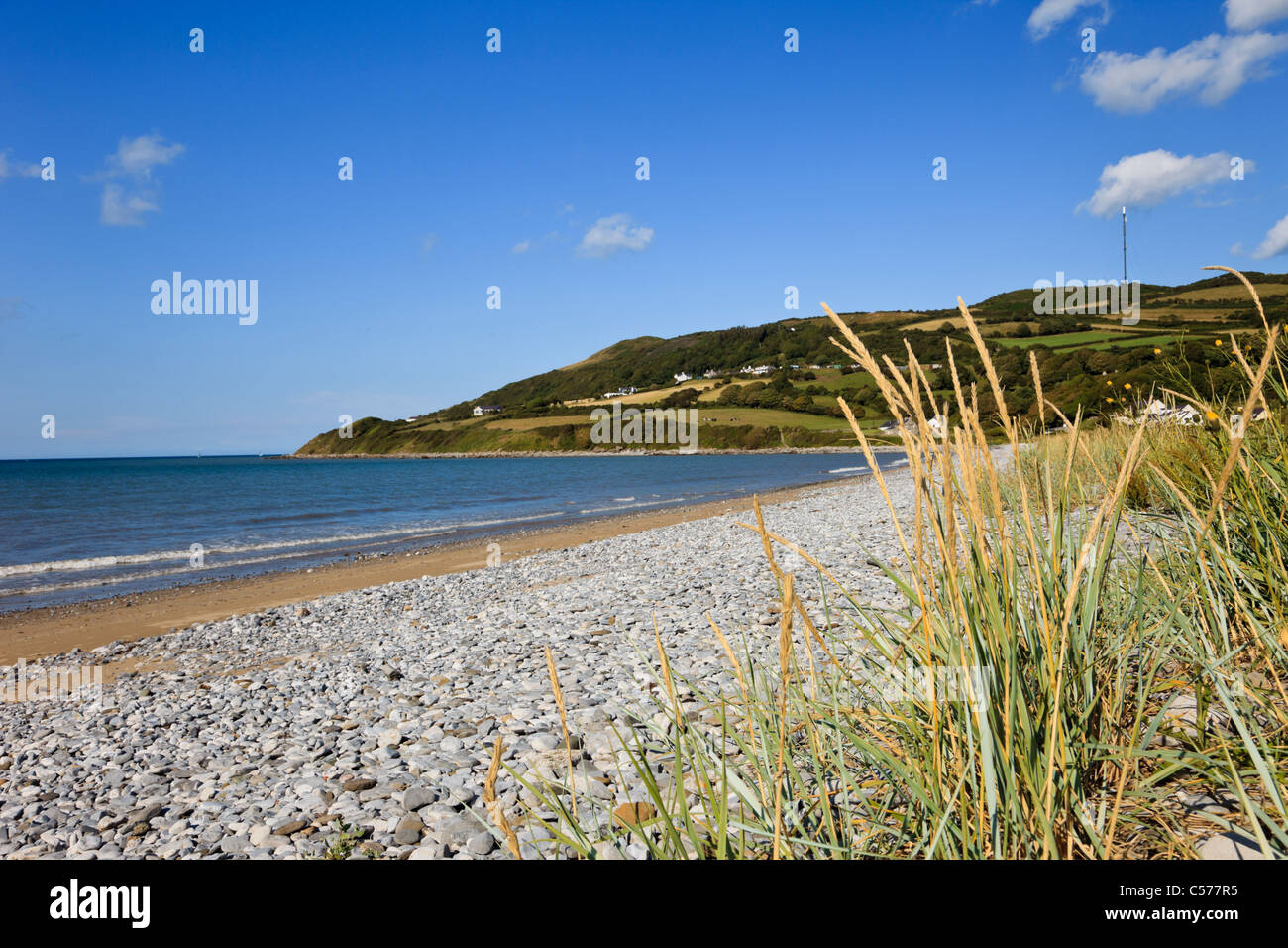 View of pebble beach with grasses growing on the seashore in Red Wharf
