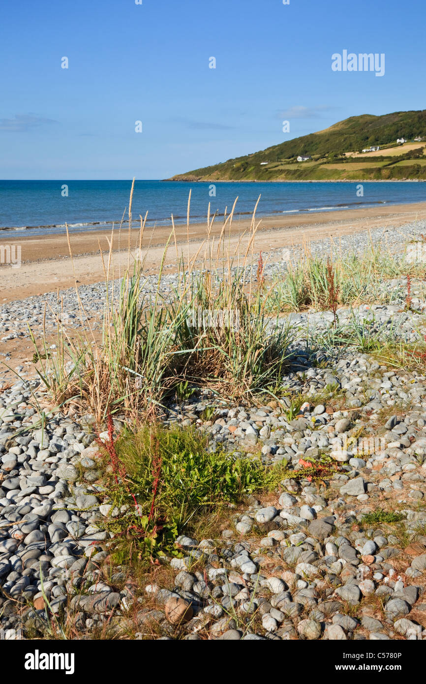Llanddona, Isle of Anglesey, North Wales, UK. View of pebble beach with grasses growing on the shore in Red Wharf Bay Stock Photo