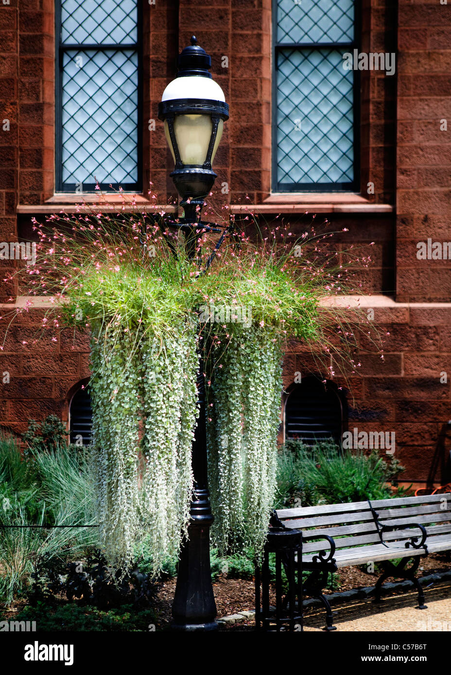 Hanging planter baskets on street lamp posts Stock Photo Alamy