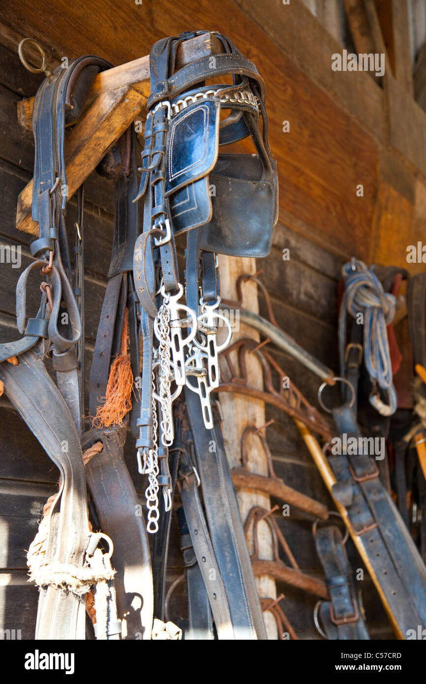 Horse equipment on wall in barn Stock Photo Alamy