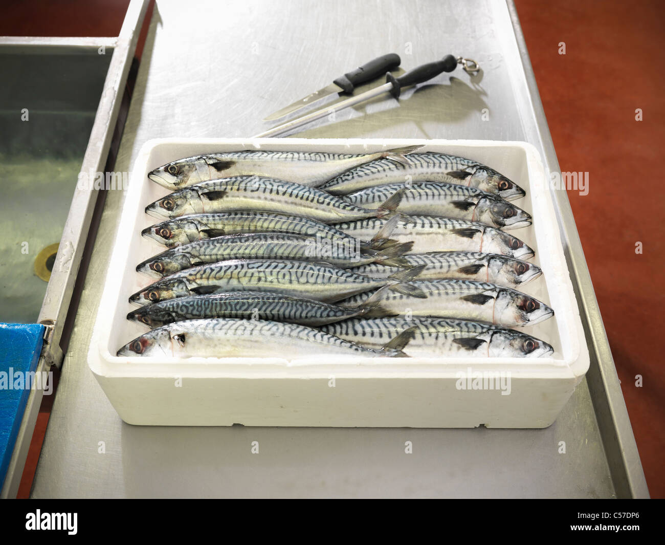 Boxed mackerel fish in plant Stock Photo Alamy