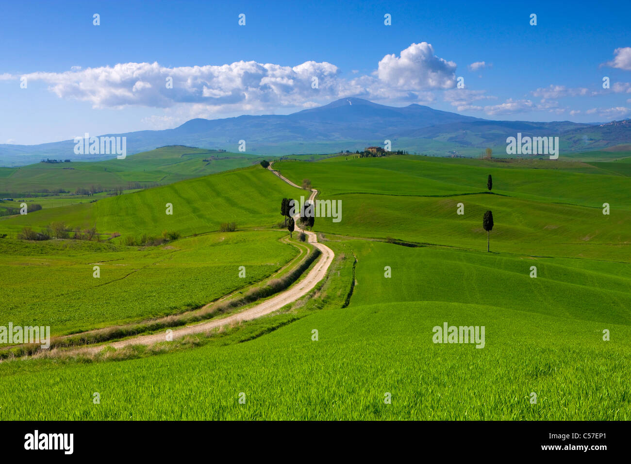 Terrapille, Italy, Europe, Tuscany, Crete, fields, farm, way, trees ...