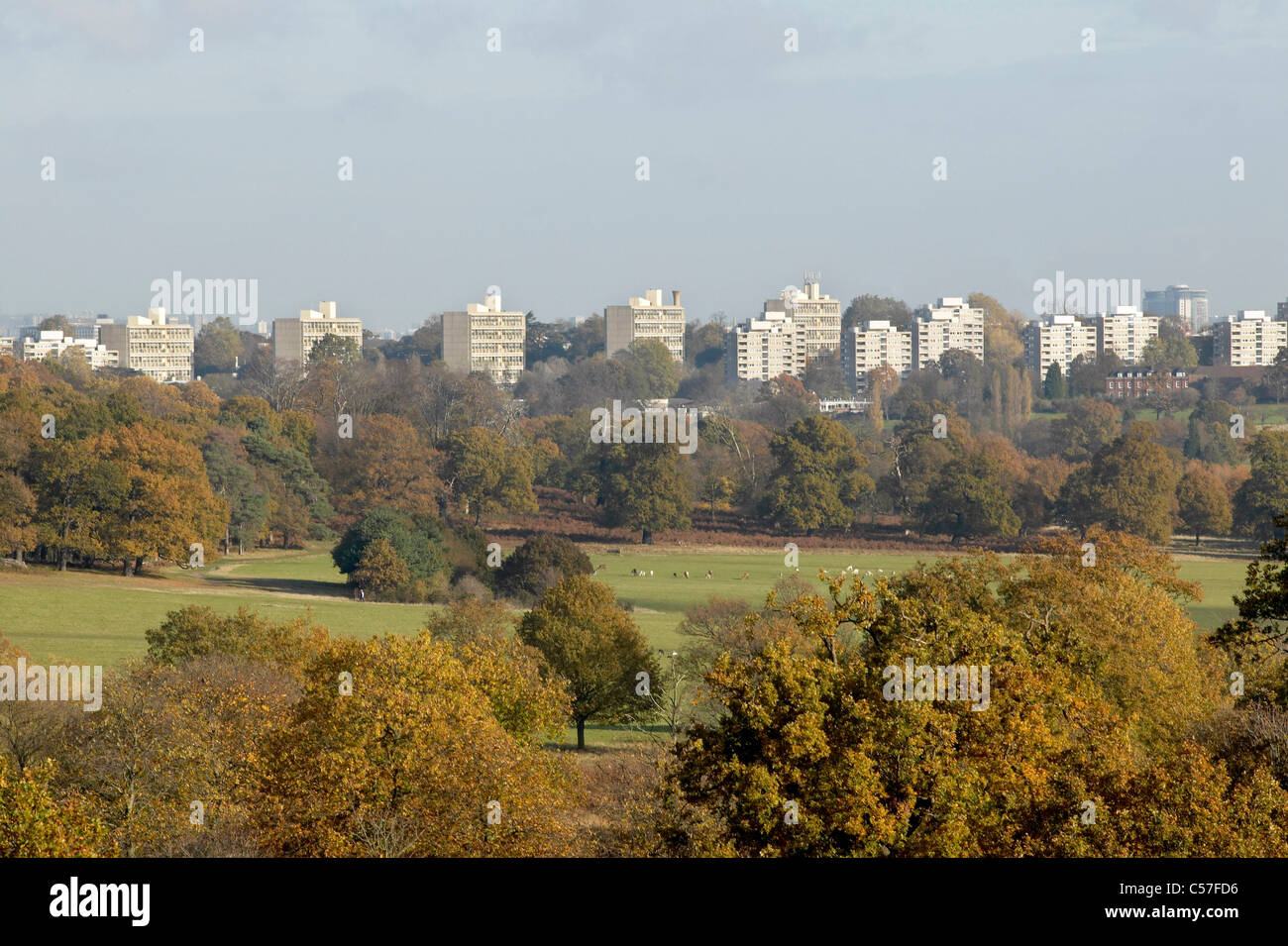 Alton Estate, Roehampton, Wandsworth, England, 19529 Stock Photo Alamy