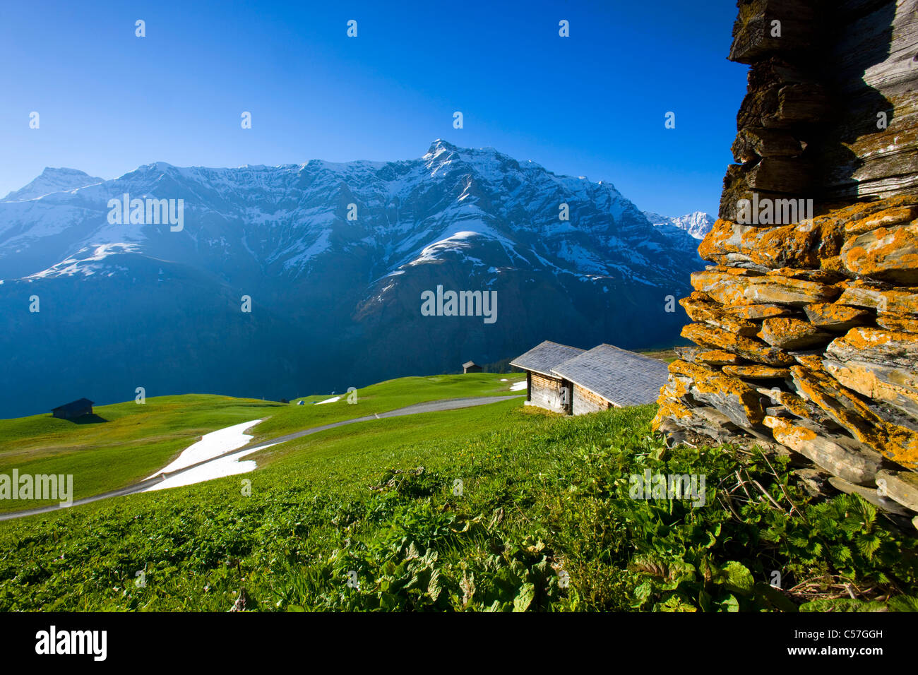 Camana, Switzerland, Europe, canton Graubunden, grisons, valley of Safien, mountains, alp, stables, snow rest, spring, way Stock Photo