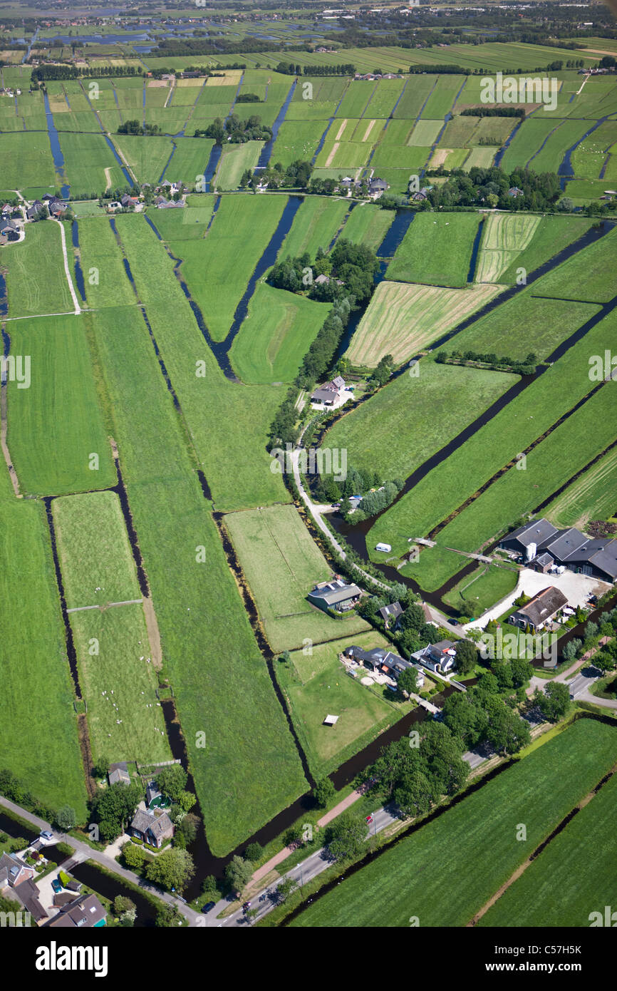 The Netherlands, Woerden, Farming land in polder. Aerial. Stock Photo