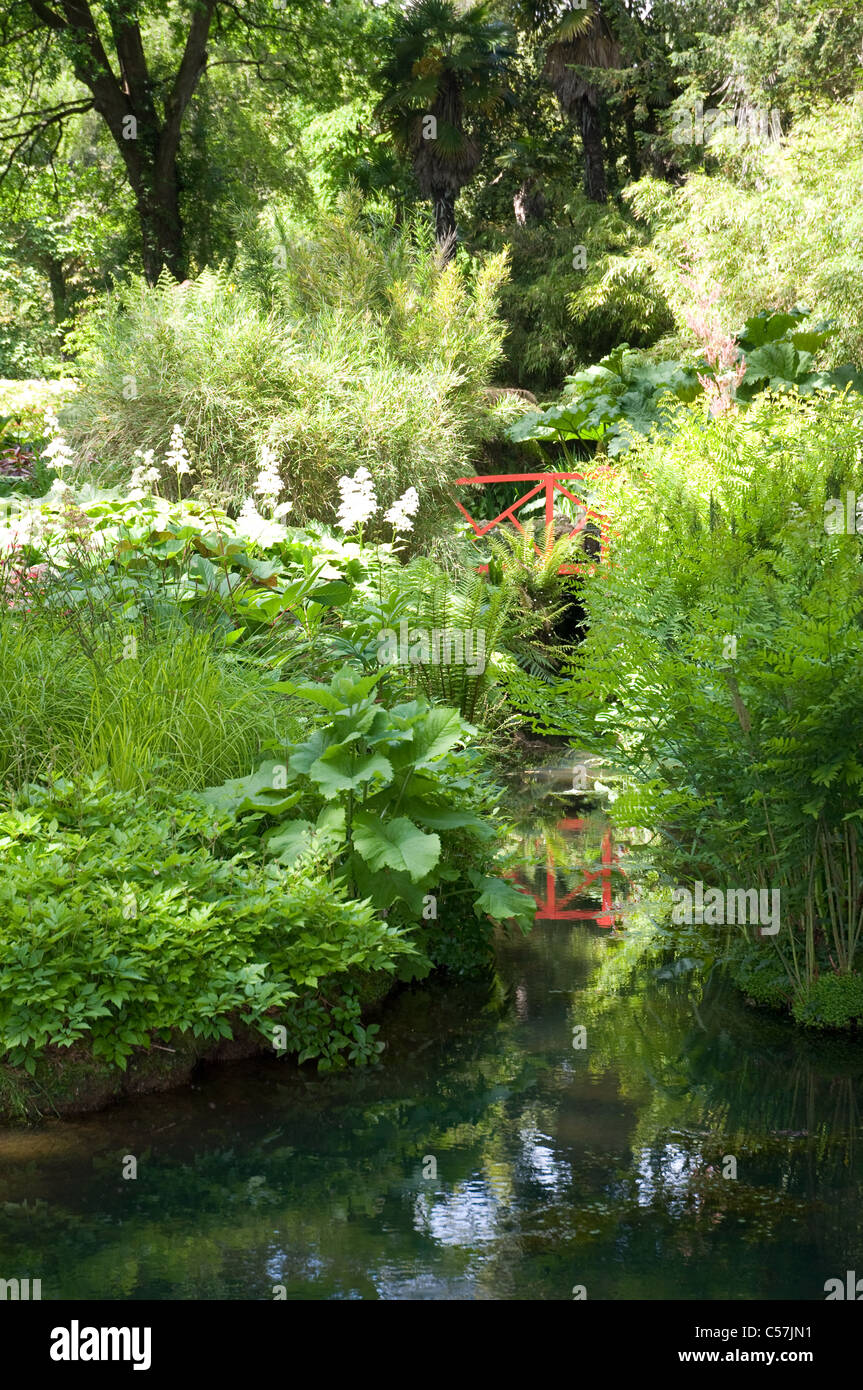 Stream with lush summer planting of ferns and grasses in Dorset  UK Stock Photo