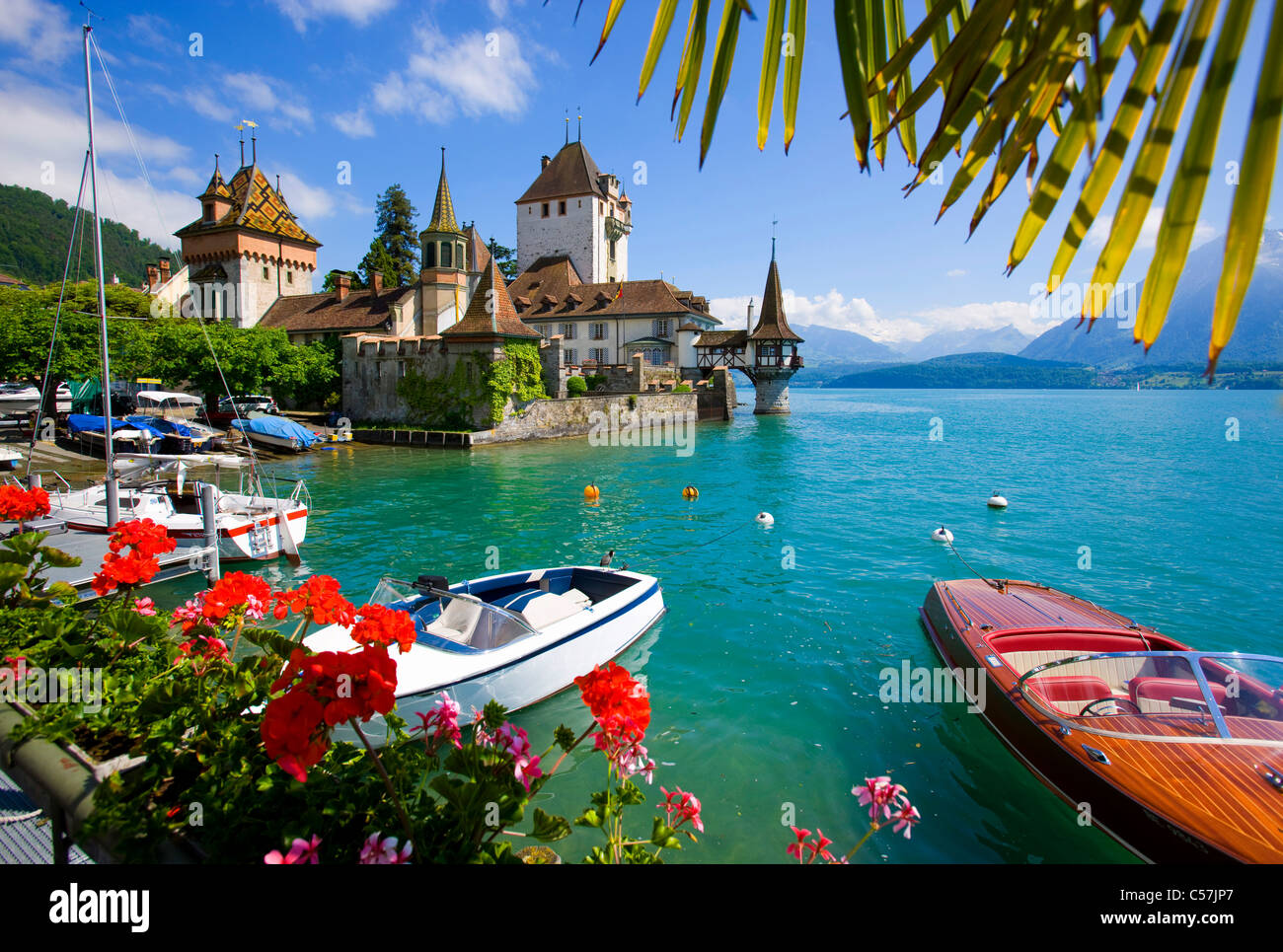 Oberhofen, Switzerland, Europe, canton Bern, lake, sea, lake of Thun, castle, lock, harbour, port, boats, flowers, palm Stock Photo