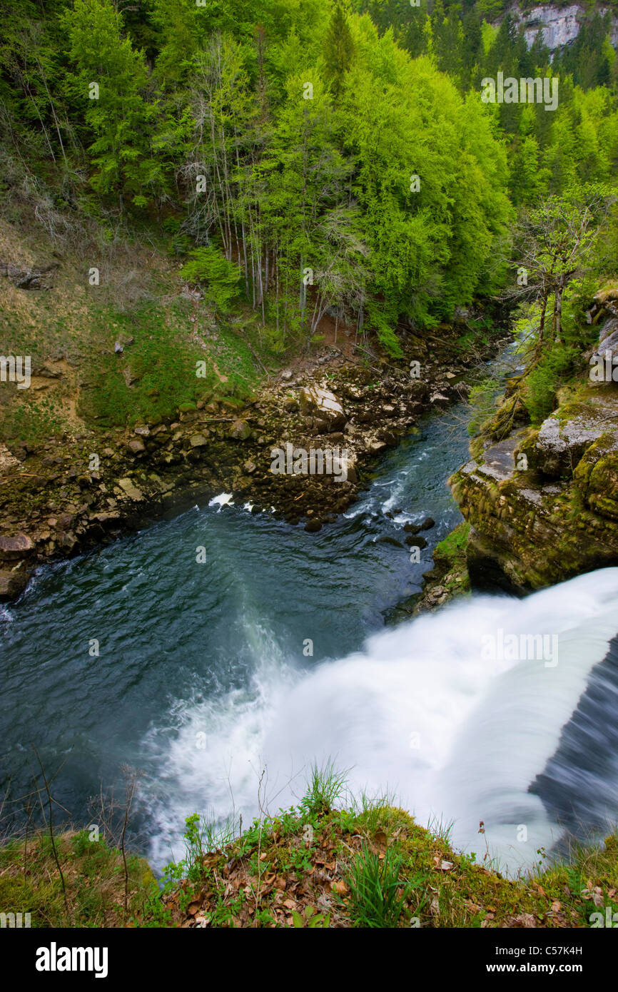 If there makes a mess you Doubs, Switzerland, Europe, canton Neuenburg, Neuenburg Jura, river, flow, Doubs, waterfall, gulch, wo Stock Photo
