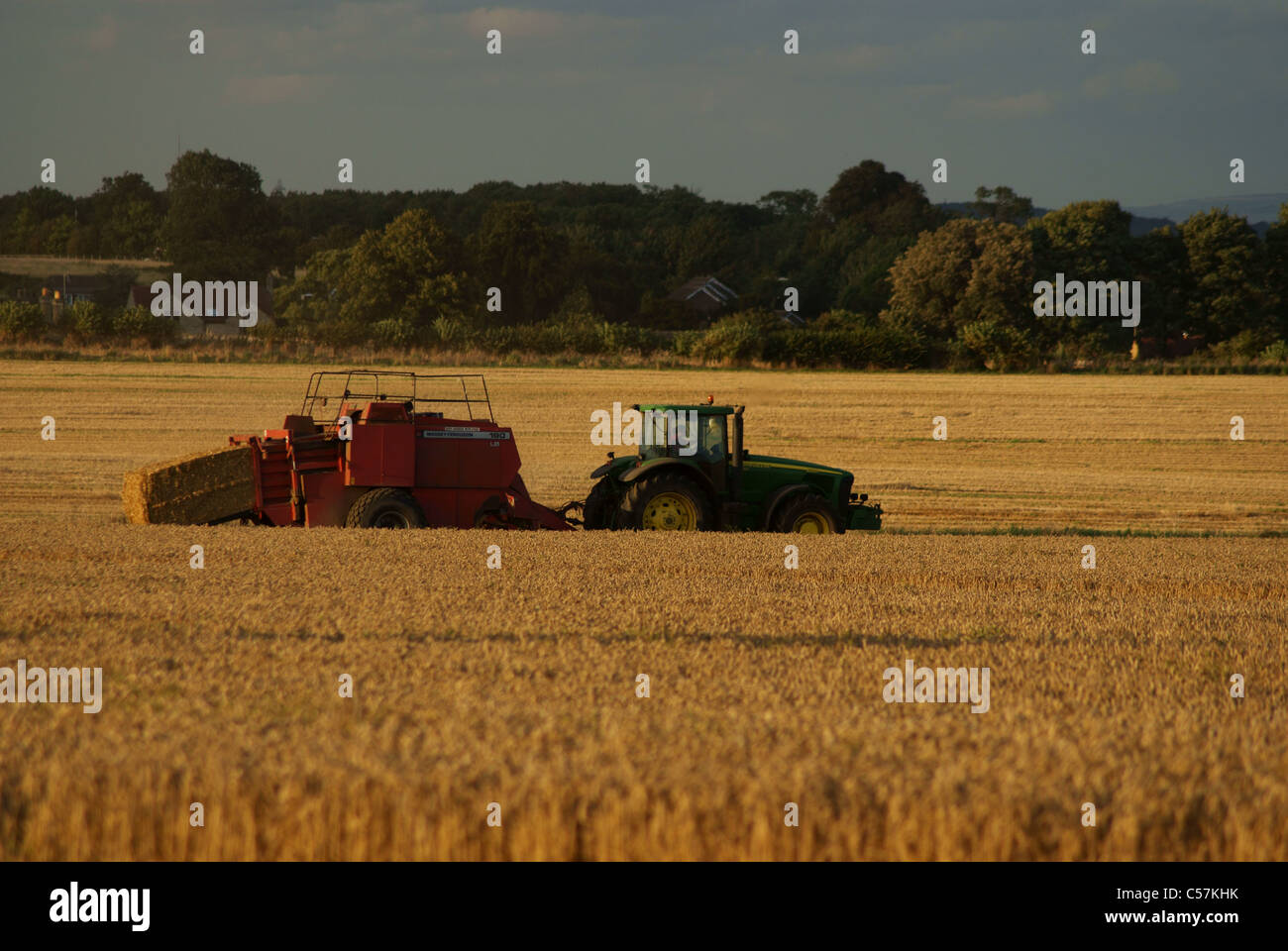 Crop harvest Stock Photo