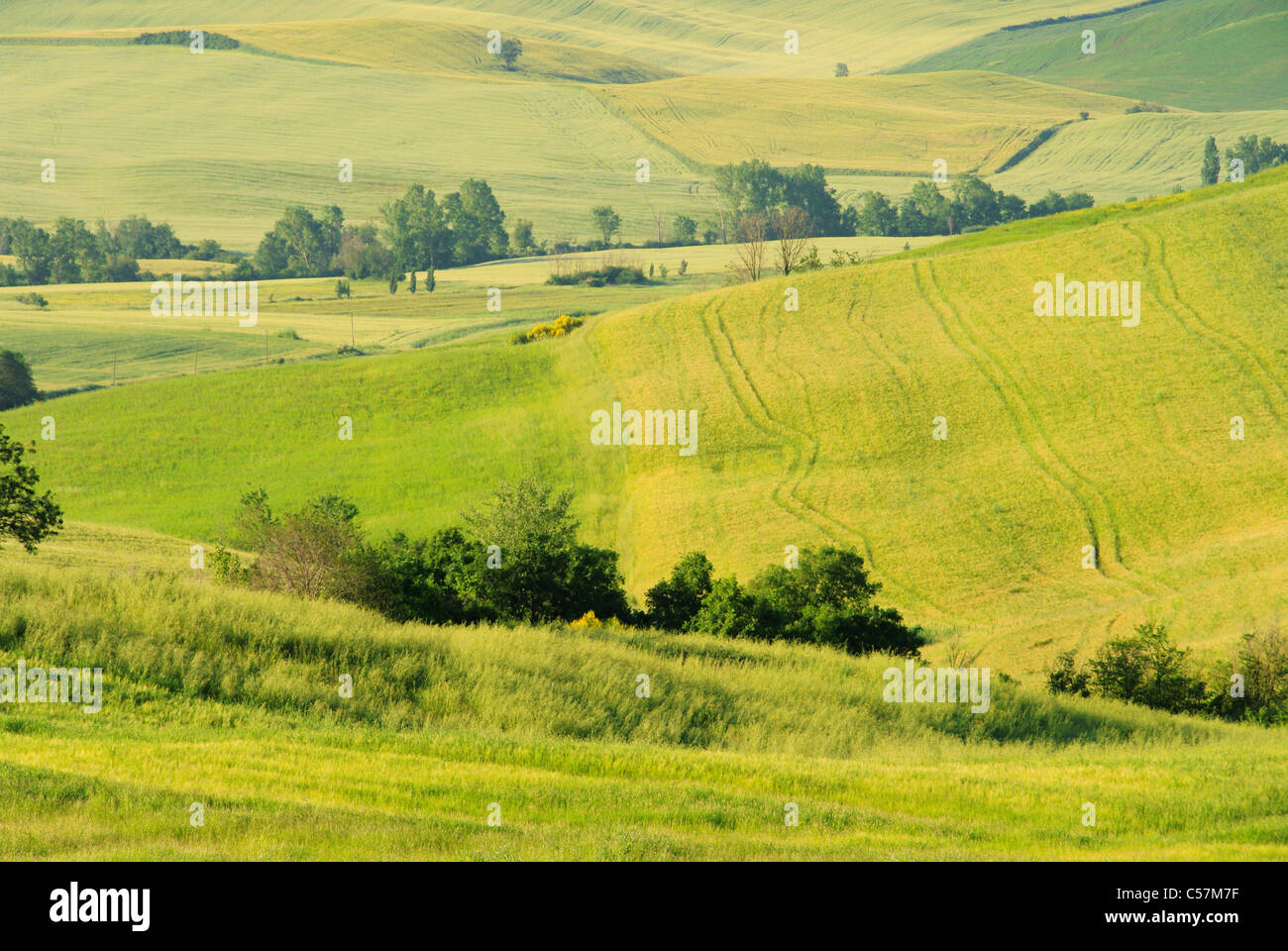 Toskana Huegel - Tuscany hills 26 Stock Photo - Alamy