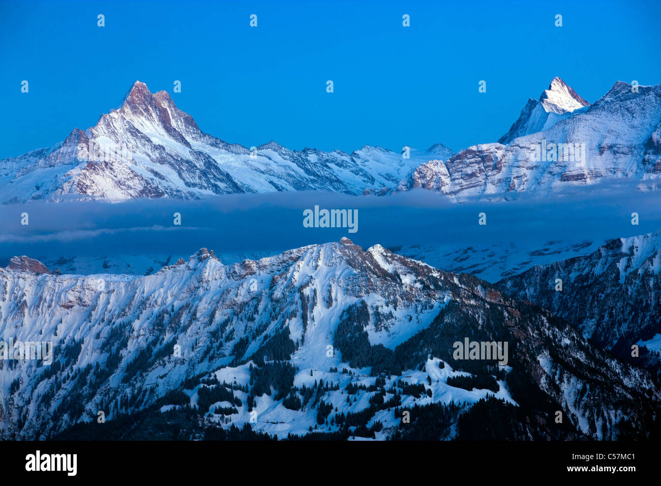 The Schreckhorn In The Bernese Alps By Martin Podt Photography - Gray main image 0