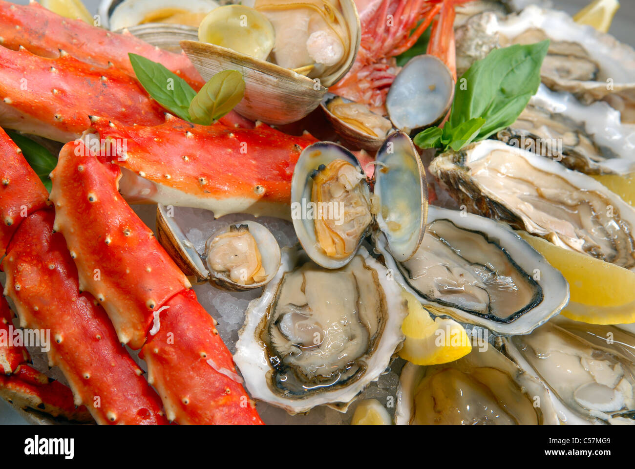 cocktail from seafood with claws of the Kamchatka crab,oysters and a huge shrimp Stock Photo