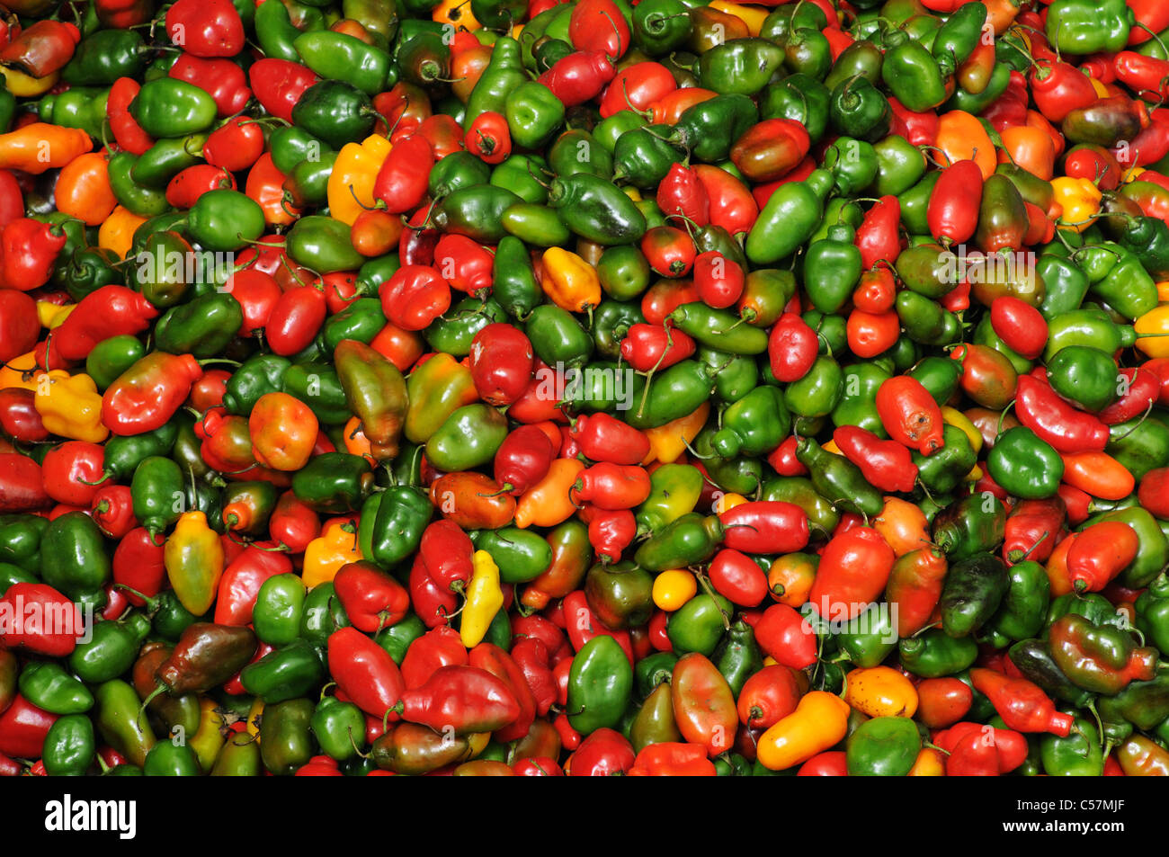 Red Yellow And Green Peppers Stock Photo Alamy