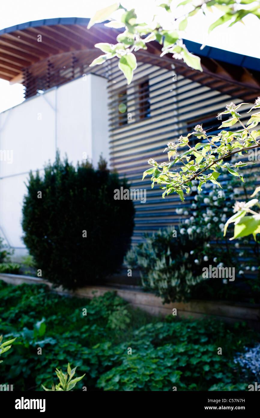Green garden of modern home Stock Photo
