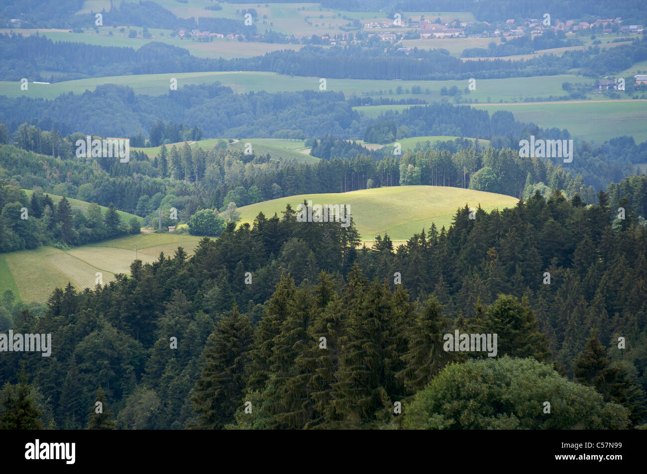 A green landscape with pine trees and hills in Schwarzwald, Baden-Wurttemberg, Germany Stock Photo