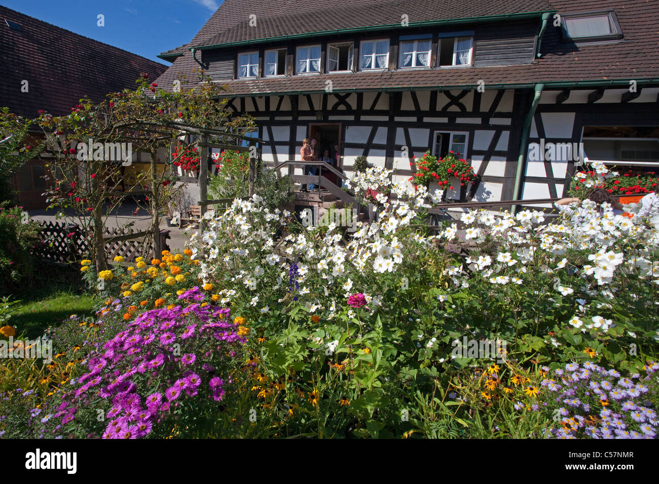 Bauernhaus und Bauerngarten, Blumengarten  in Sasbachwalden, farmer house and flower garden Stock Photo
