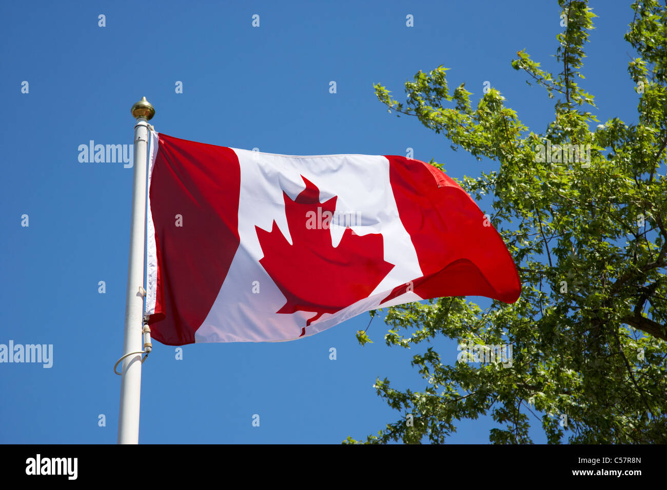 Maple leaf flag hires stock photography and images Alamy