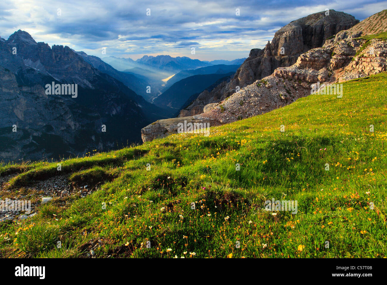 Alps, Alpine flora, alpenglow, Alpine panorama, Ansiei, Ansiei valley, view from Auronzohutte, mountain, mountain flower, mounta Stock Photo