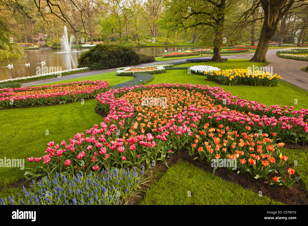 The Netherlands, Lisse, Keukenhof flower garden, mainly Tulip. Stock Photo