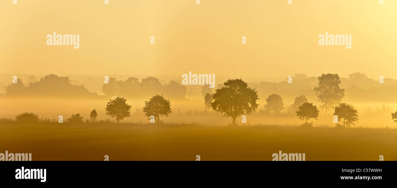 The Netherlands, Meerkerk, Farm and trees in morning mist at sunrise. Stock Photo