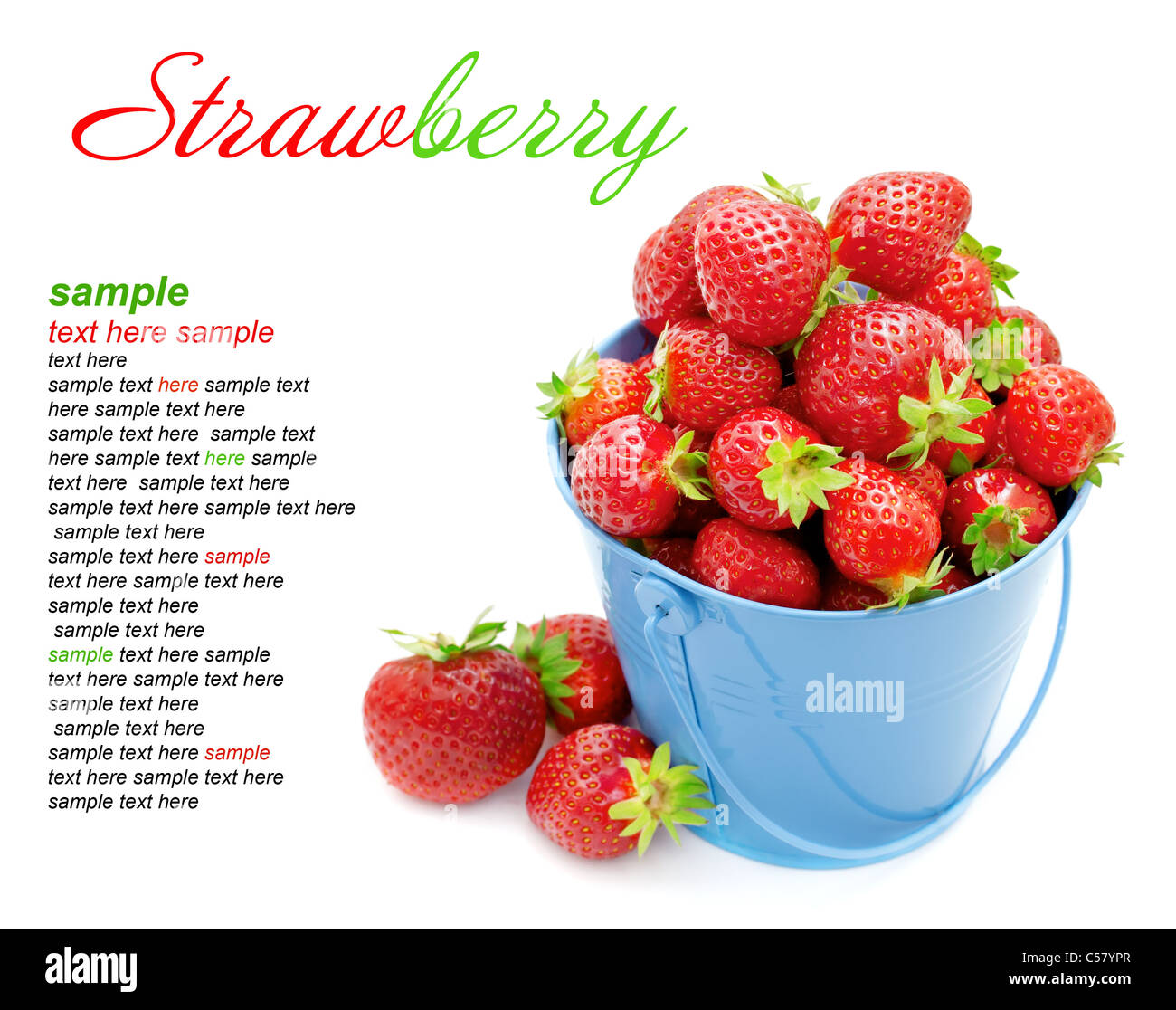 Strawberries in a bucket on a white background. Stock Photo