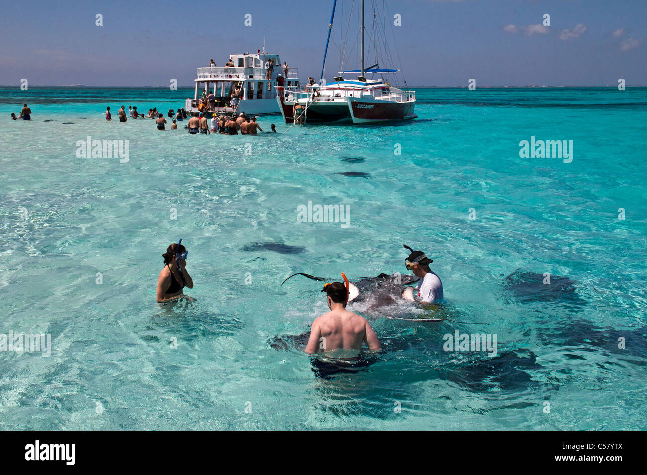People interact with the stingrays at Stingray City, Cayman Islands Stock Photo
