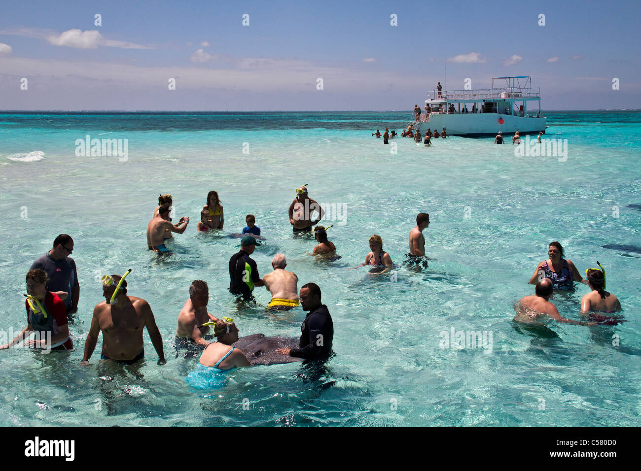 People interact with the stingrays at Stingray City, Cayman Islands Stock Photo