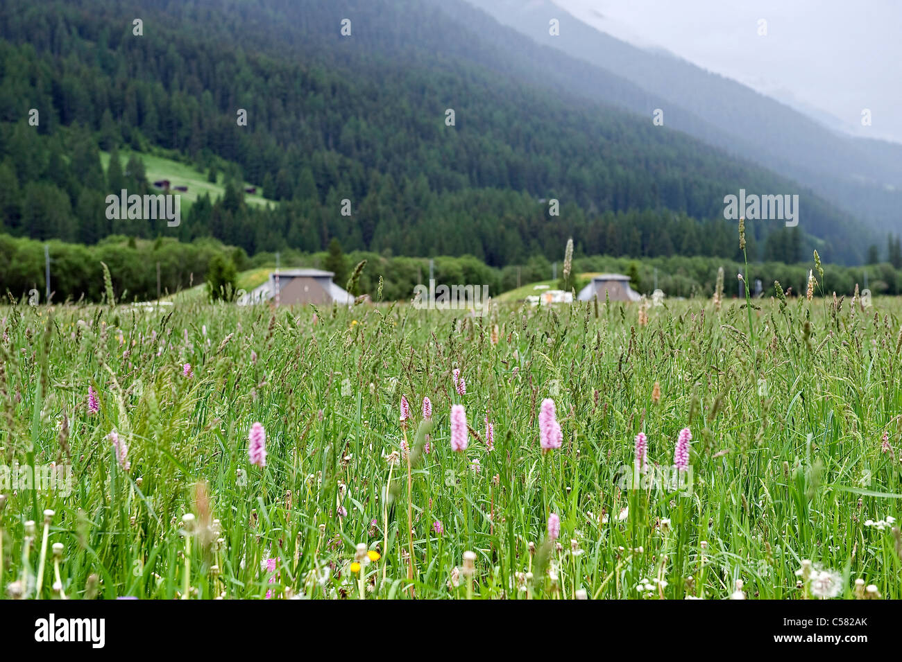 Valais, Ulrichen, airport, military, airfield, Switzerland, Europe, Kavernen Stock Photo
