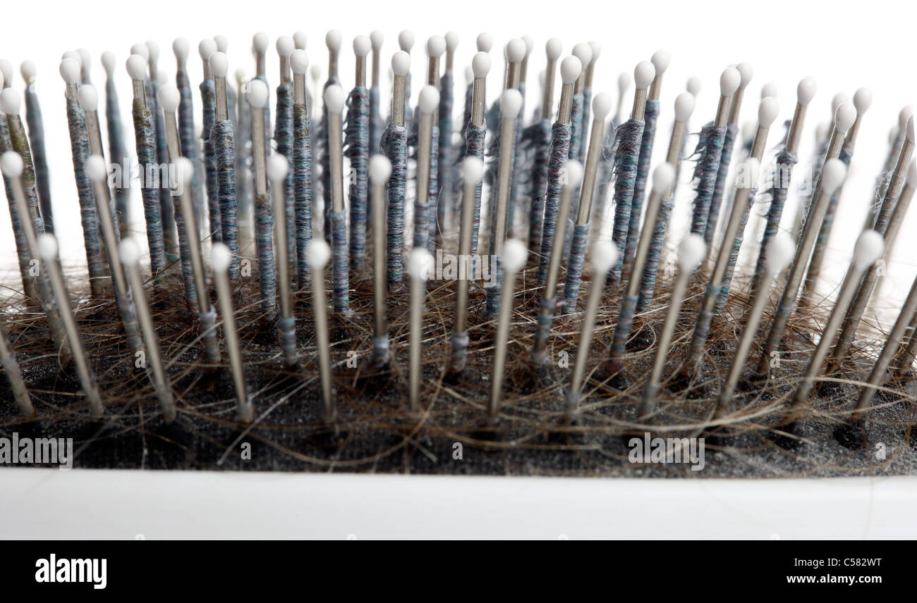 Dirty, used hairbrush. With lots of old hairs and other dirt in it