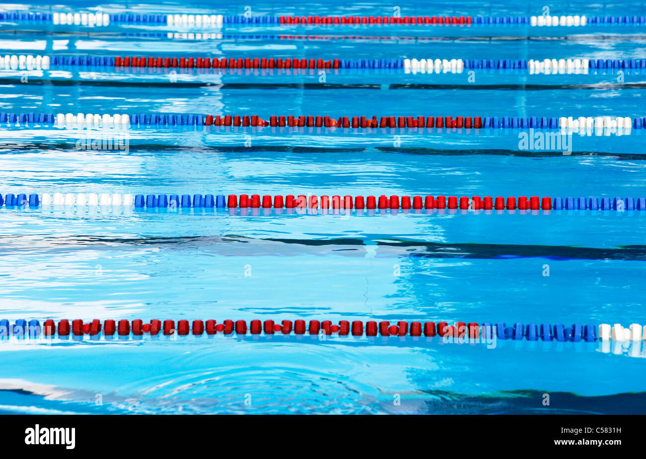 Swimming pool for swimming contest, swim lanes. Stock Photo