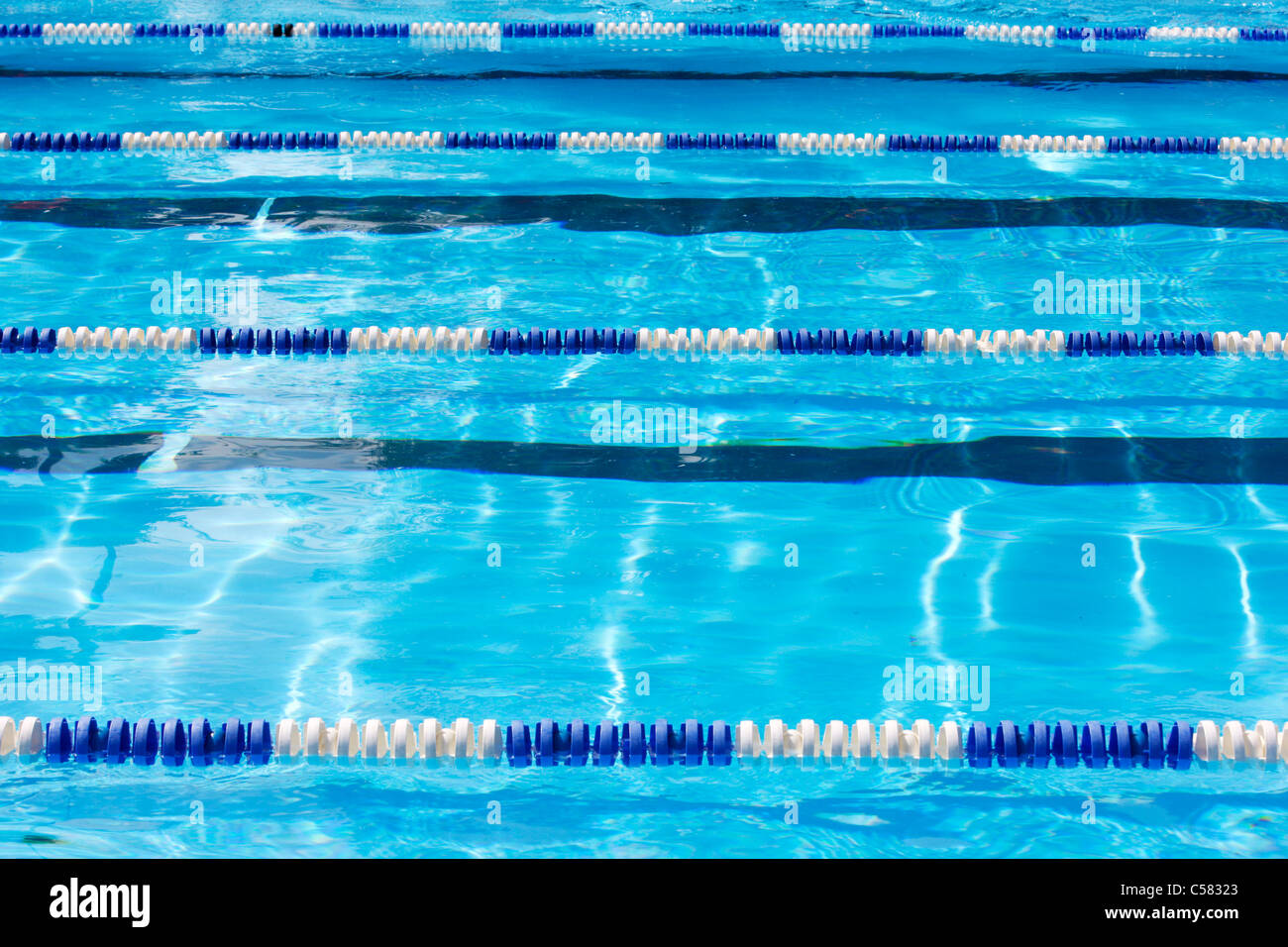 Swimming pool for swimming contest, swim lanes. Stock Photo