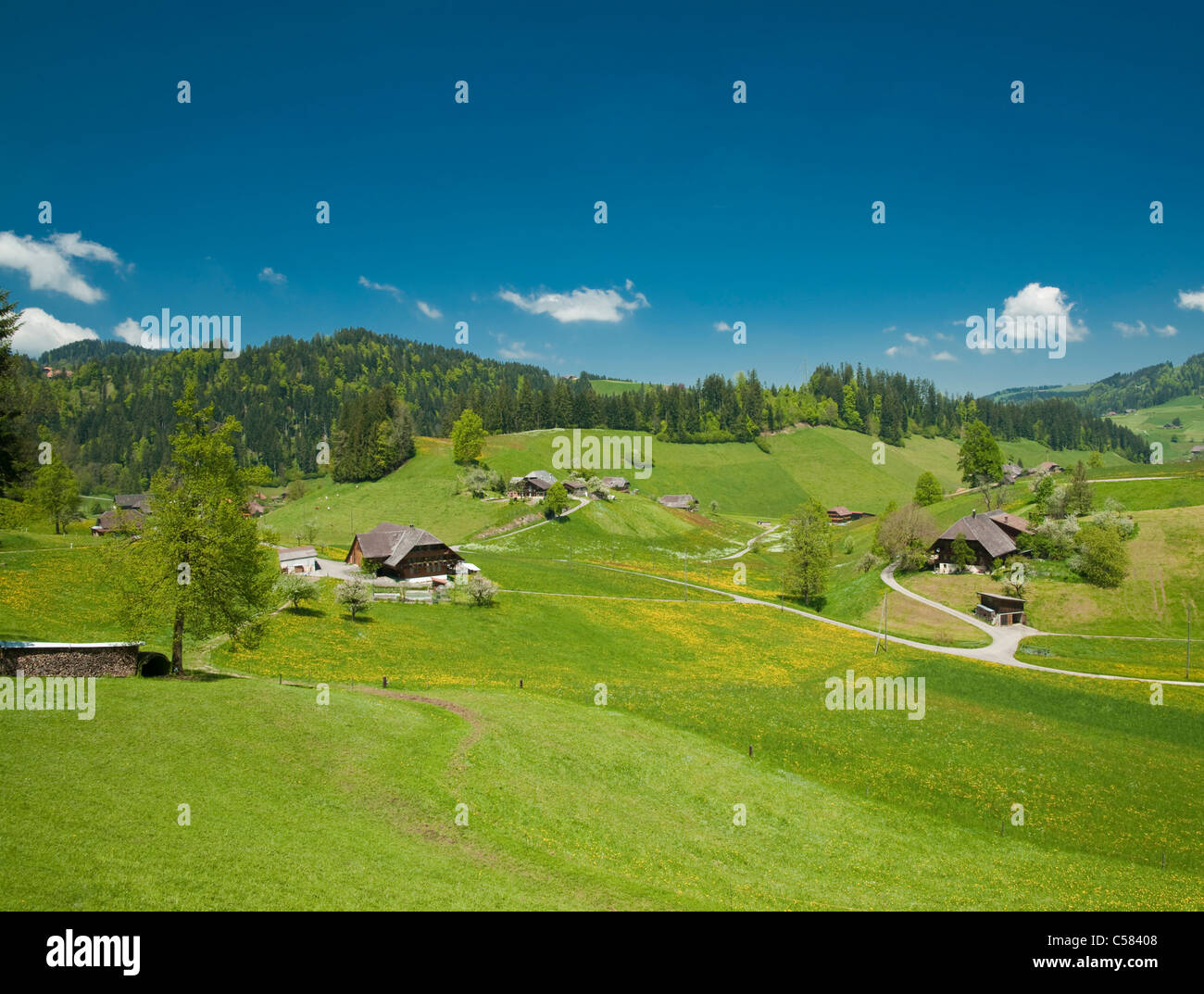 Egliswil, canton Bern, Switzerland, Emmental, farm, farms, distant look, pasture, willow, scenery, nature, man-made, cultural, l Stock Photo