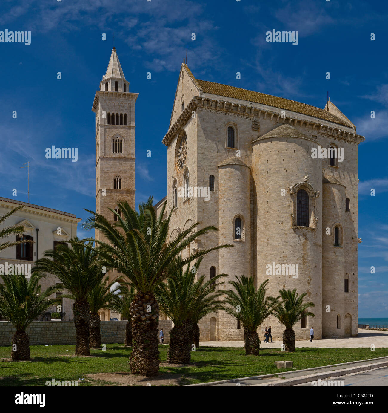 Italy, Europe, Cattedrali di San Nicola Pellegrino, Trani, Puglia, church, monastery, spring, people, palmtree Stock Photo