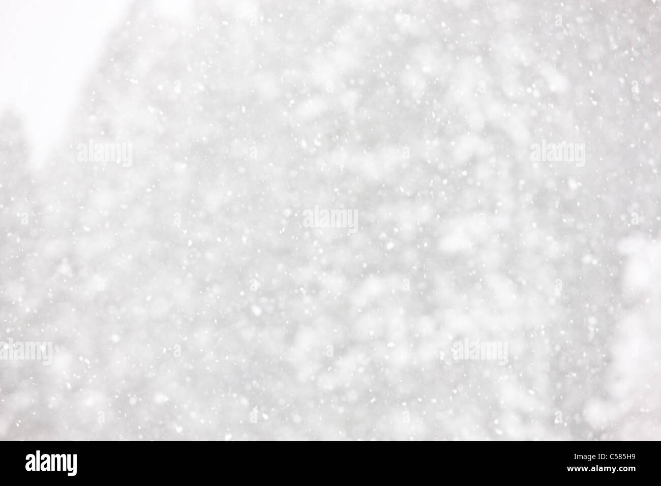 Snowing background hi-res stock photography and images - Alamy