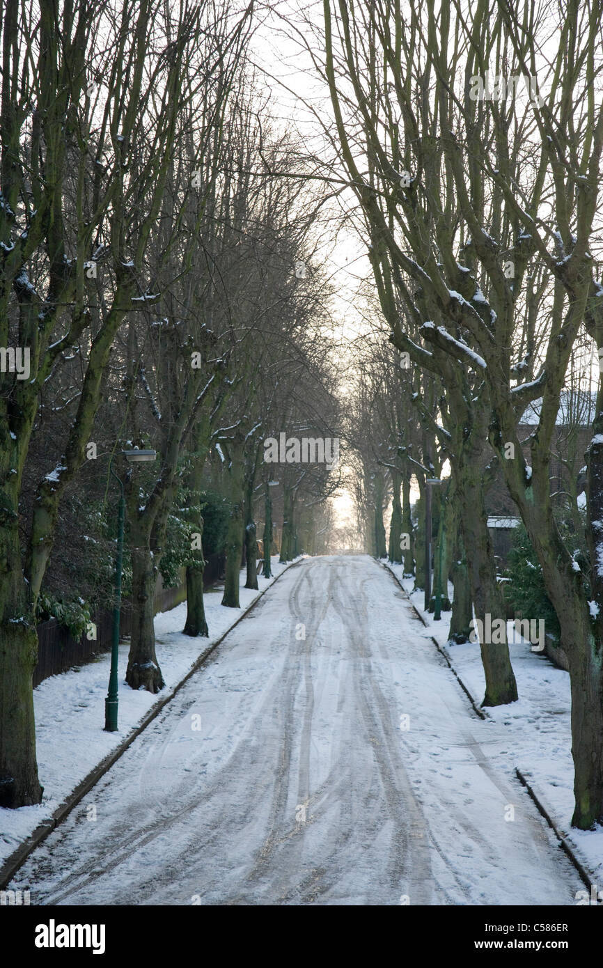 Suburban street in late winter afternoon, Nottingham. Stock Photo