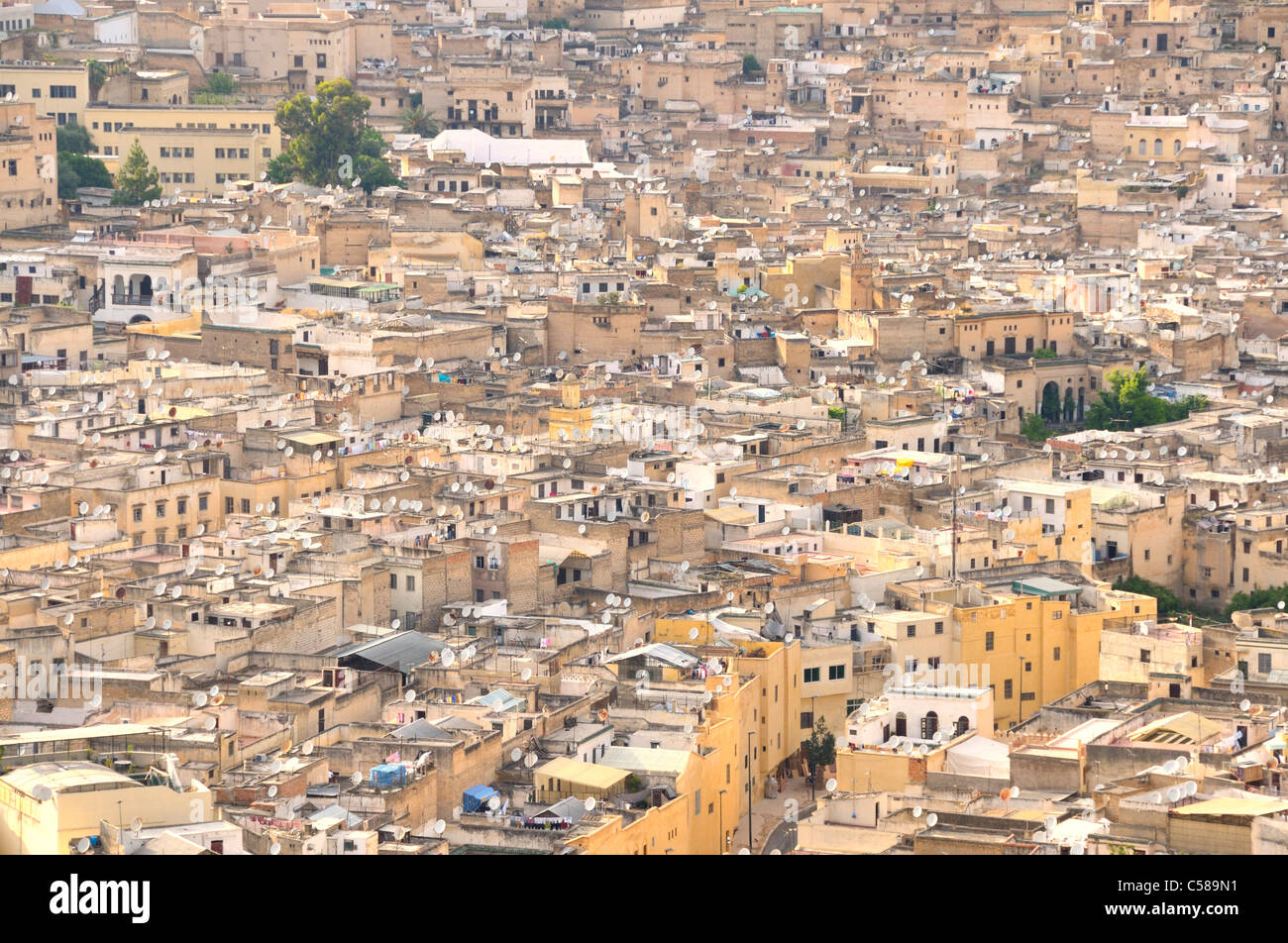 Africa, Morocco, Maghreb, North Africa, Fez, Old Town, roofs, Medina, overview Stock Photo