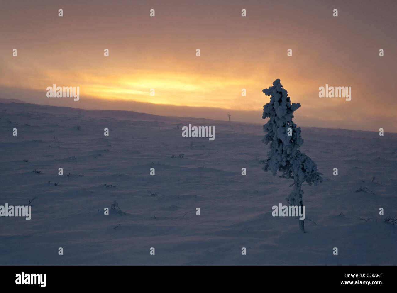 Arctic, loneliness, Europe, Finland, Fjell, Fjall, Kiilopaa, cold, Lapland, light, melancholy, morning, daybreak, dawn, red sky, Stock Photo