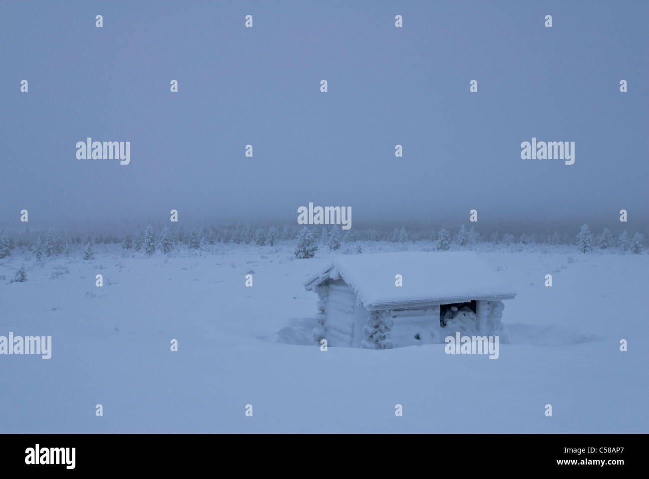 Arctic, tree border, boreal, coniferous forest, loneliness, Europe, Finland, Fjell, Fjall, hut, Kiilopaa, cold, Lapland, melanch Stock Photo