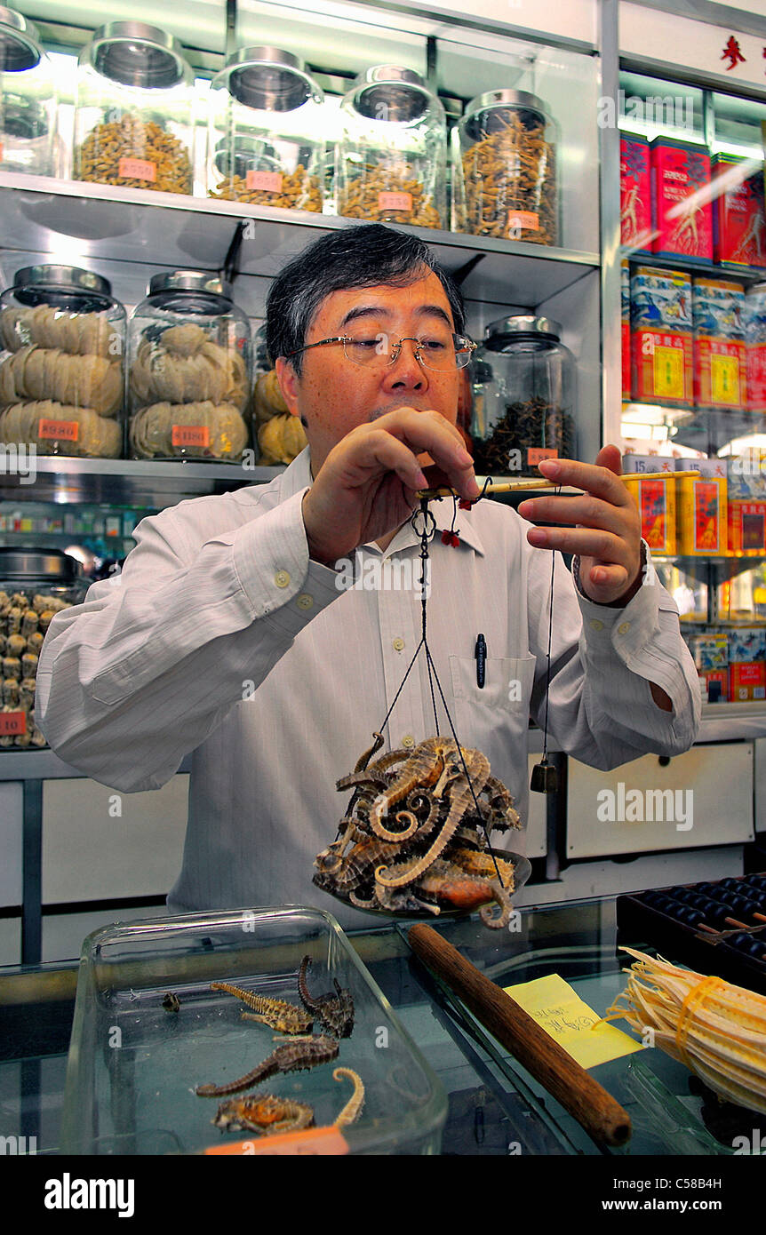 Chinese herbal medicine shop, Hong Kong, China Stock Photo Alamy